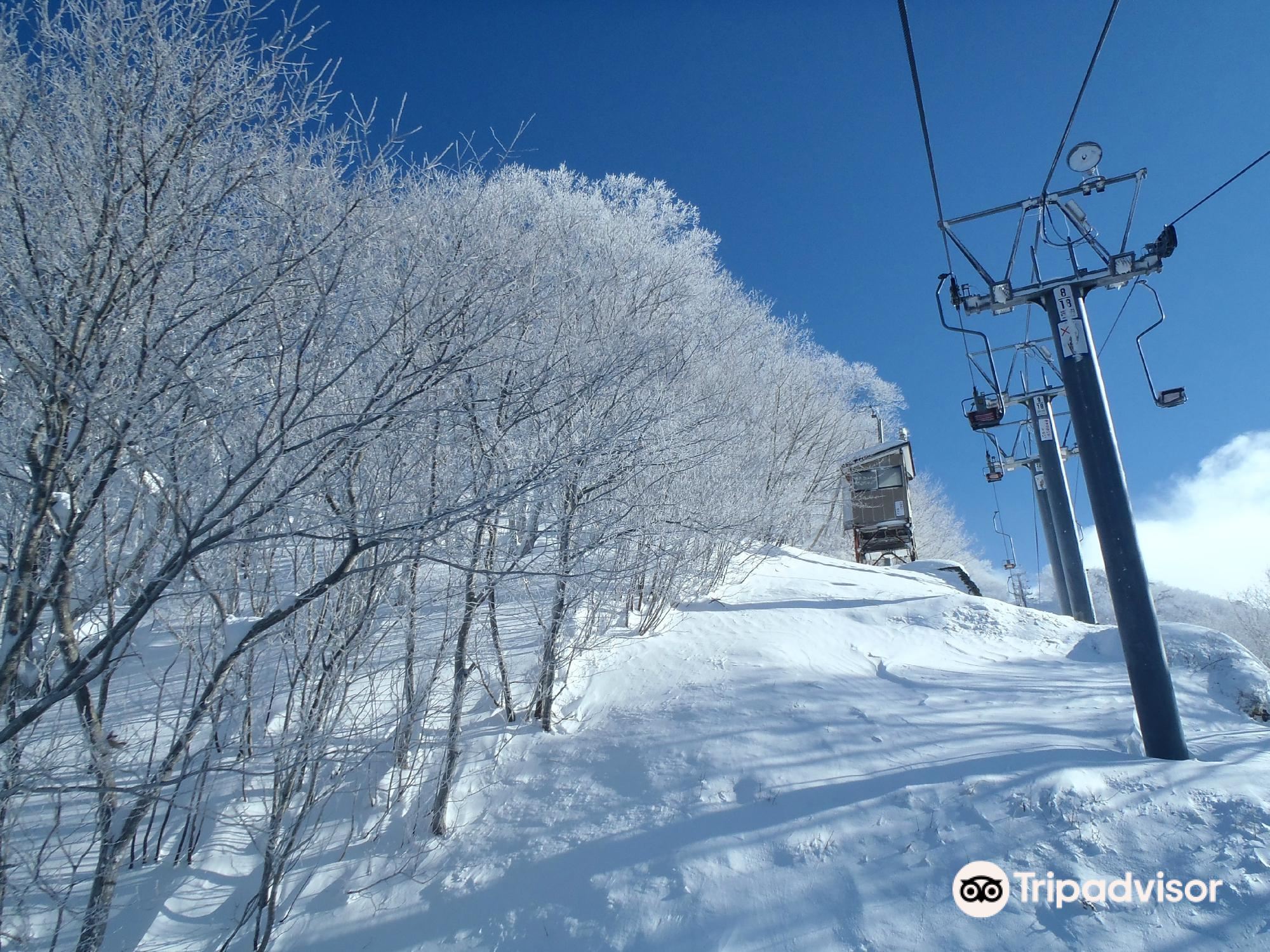 Miyagi Zao Shichikashuku cover image