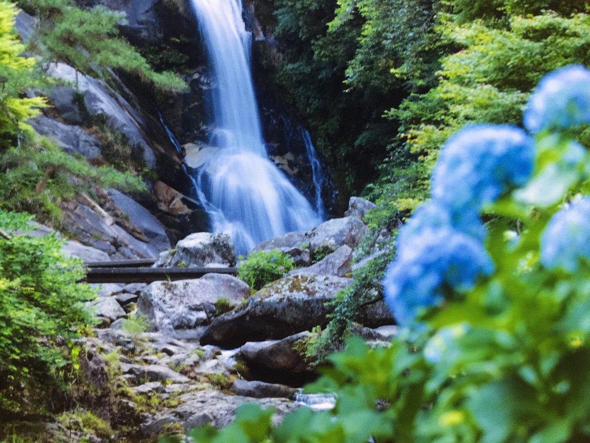 Mikaerino-taki cover image