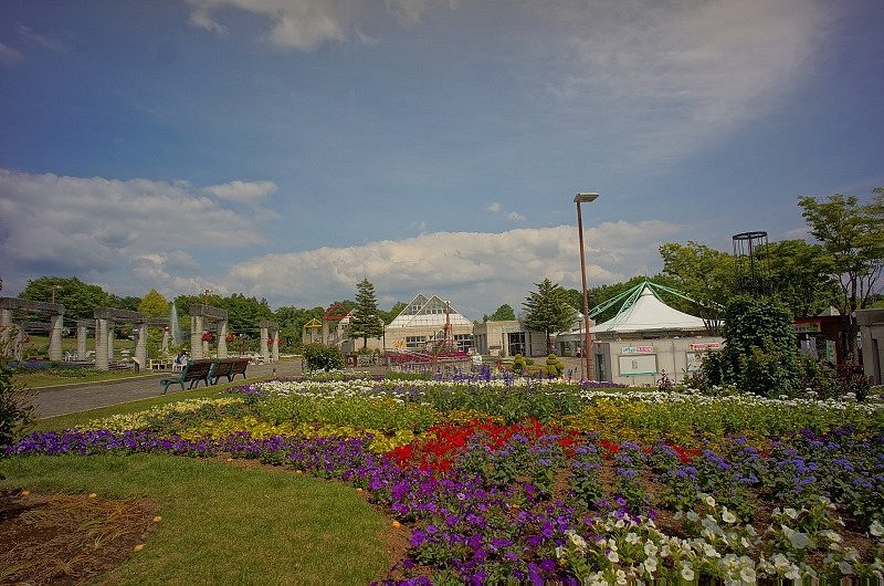 Gunma Flower Park cover image