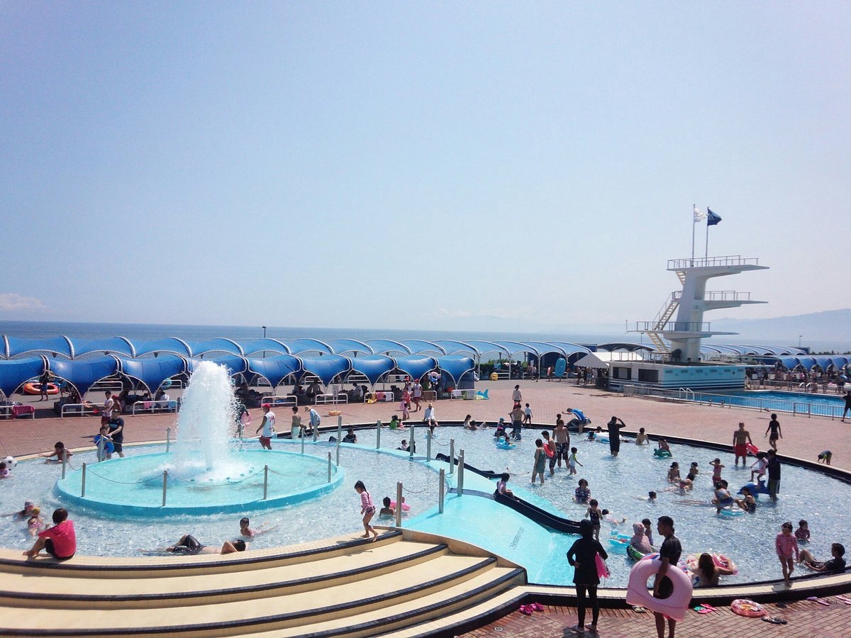 Oiso Long Beach cover image