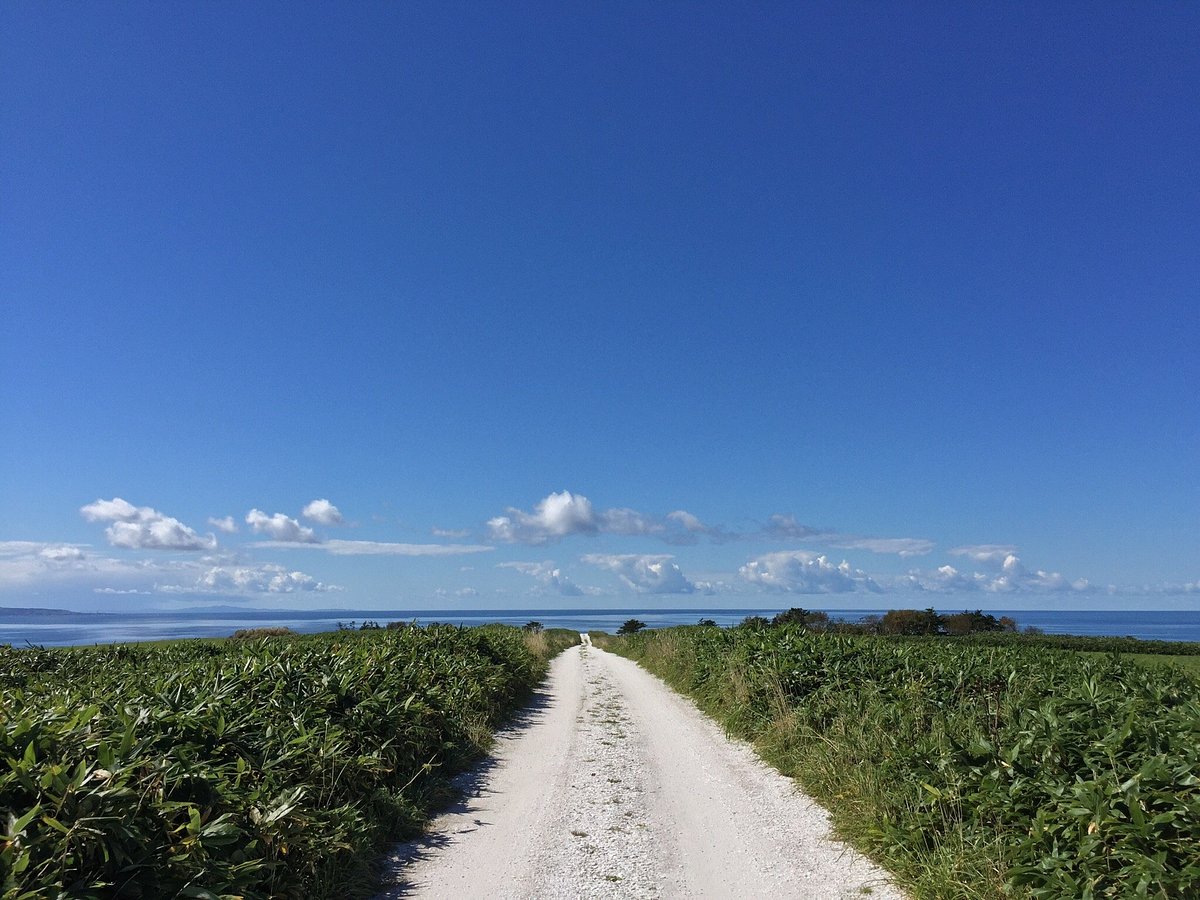 White Road cover image