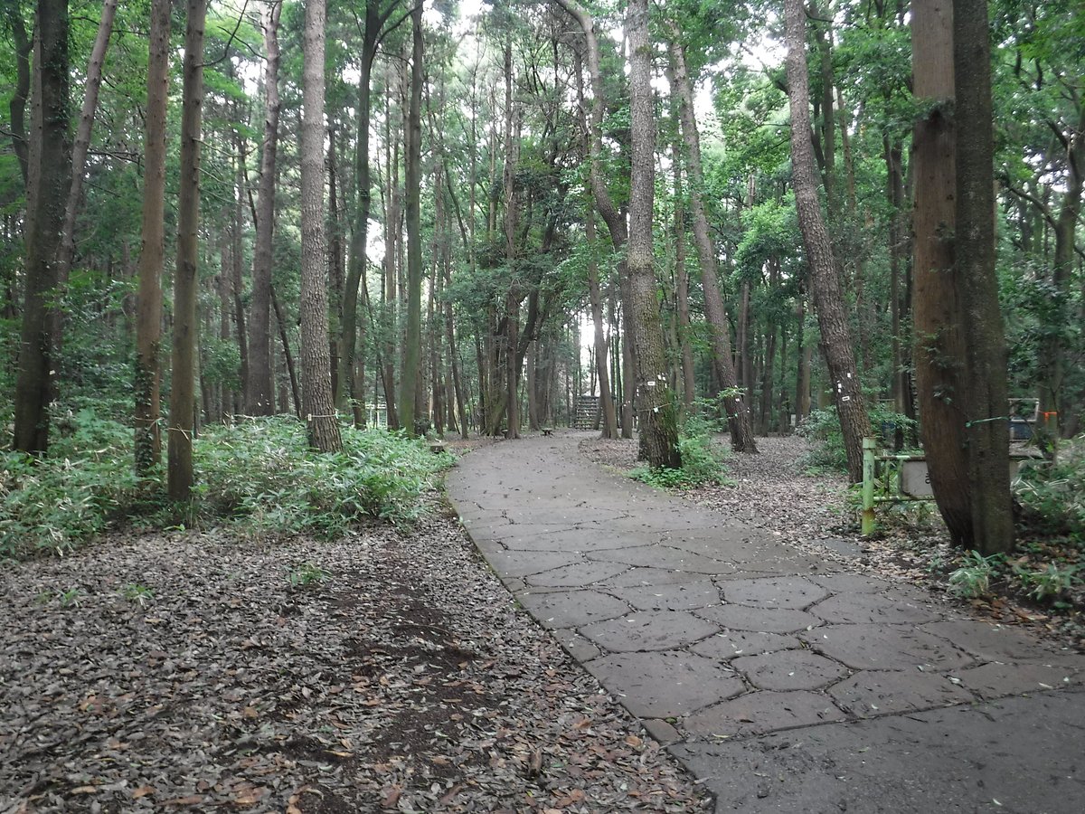 Teganooka Park cover image