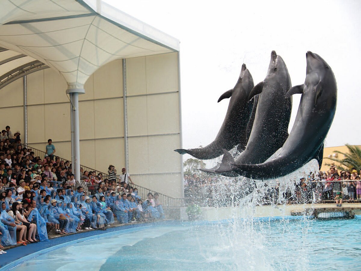 Minami Chita Beach Land cover image