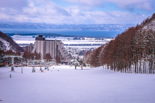 Listel Ski Fantasia cover image