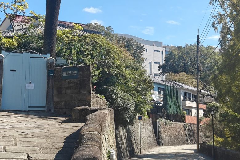 The Dutch Slope cover image