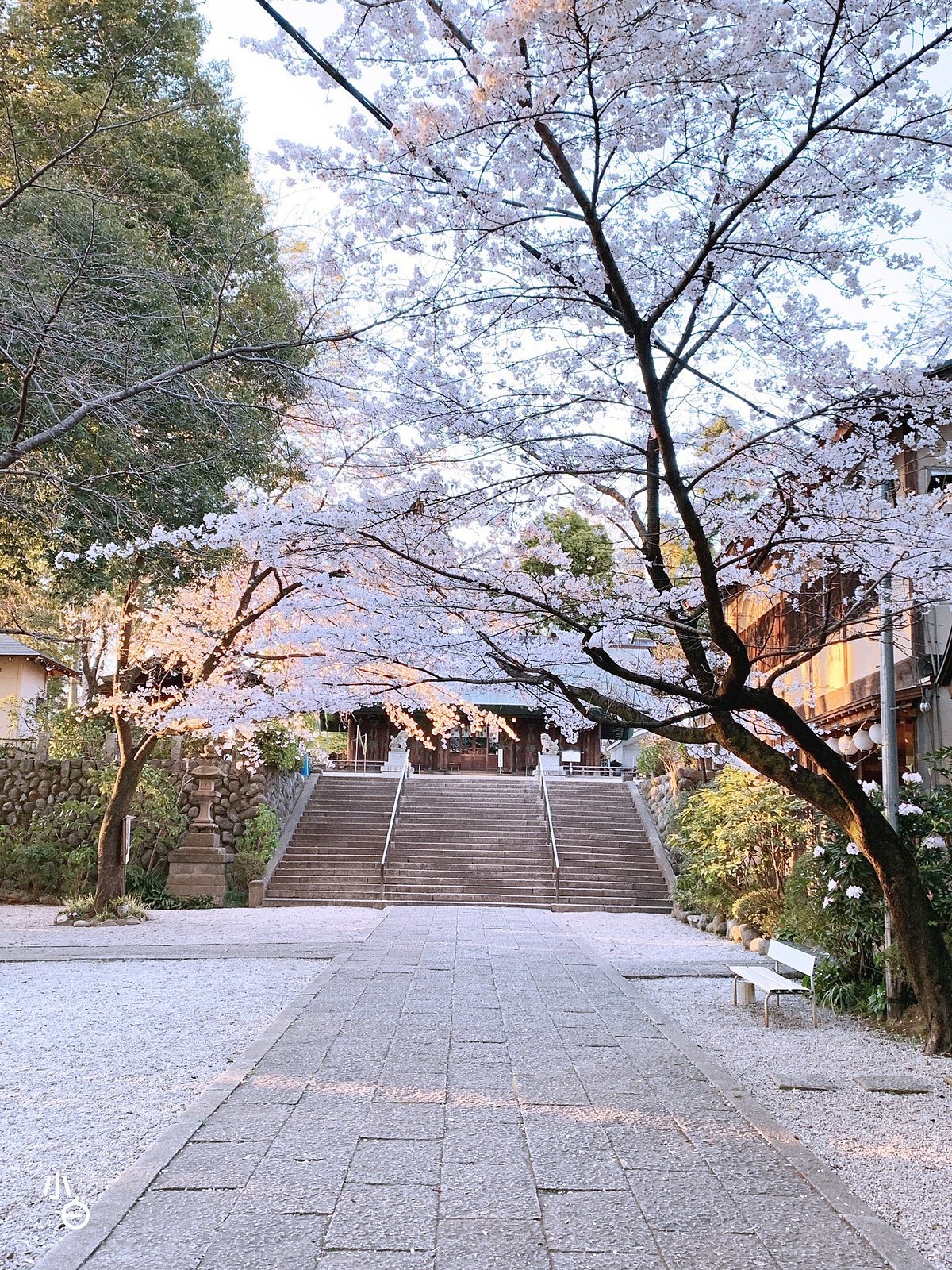 Tokorozawa Shinmeisha