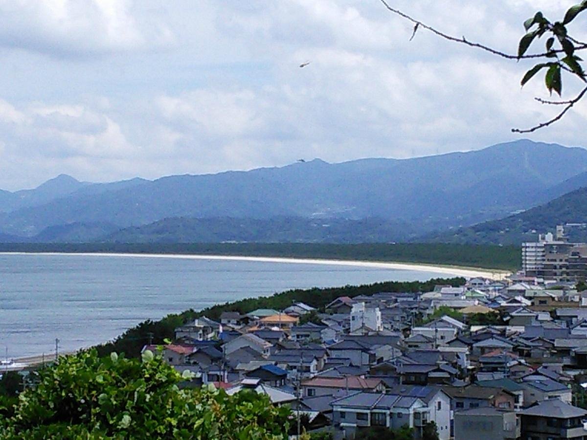 Nijino Matsubara cover image