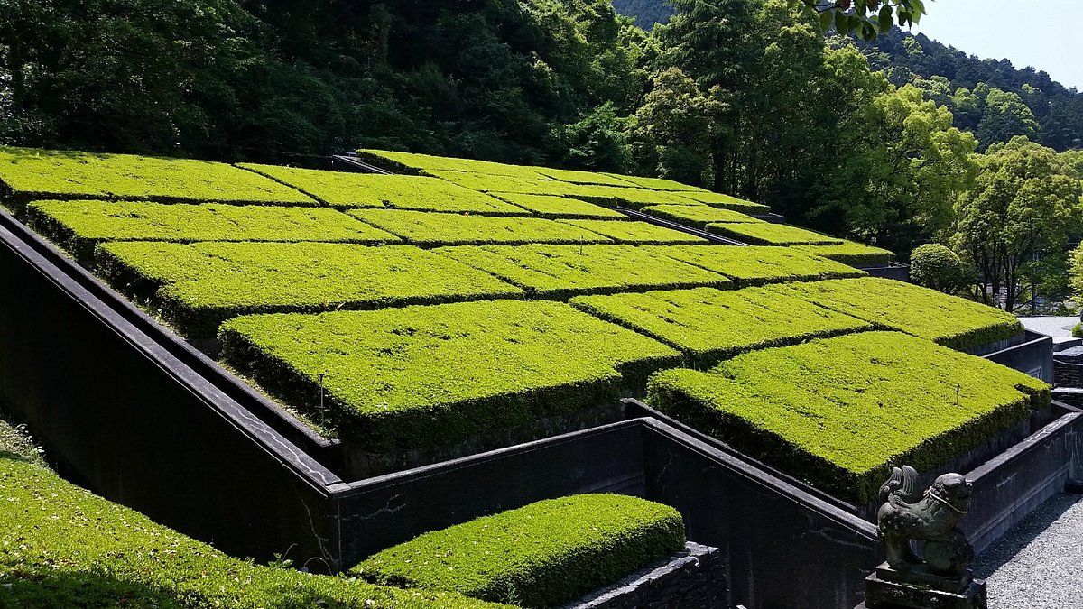 Bessi Dozan Memorial Museum cover image