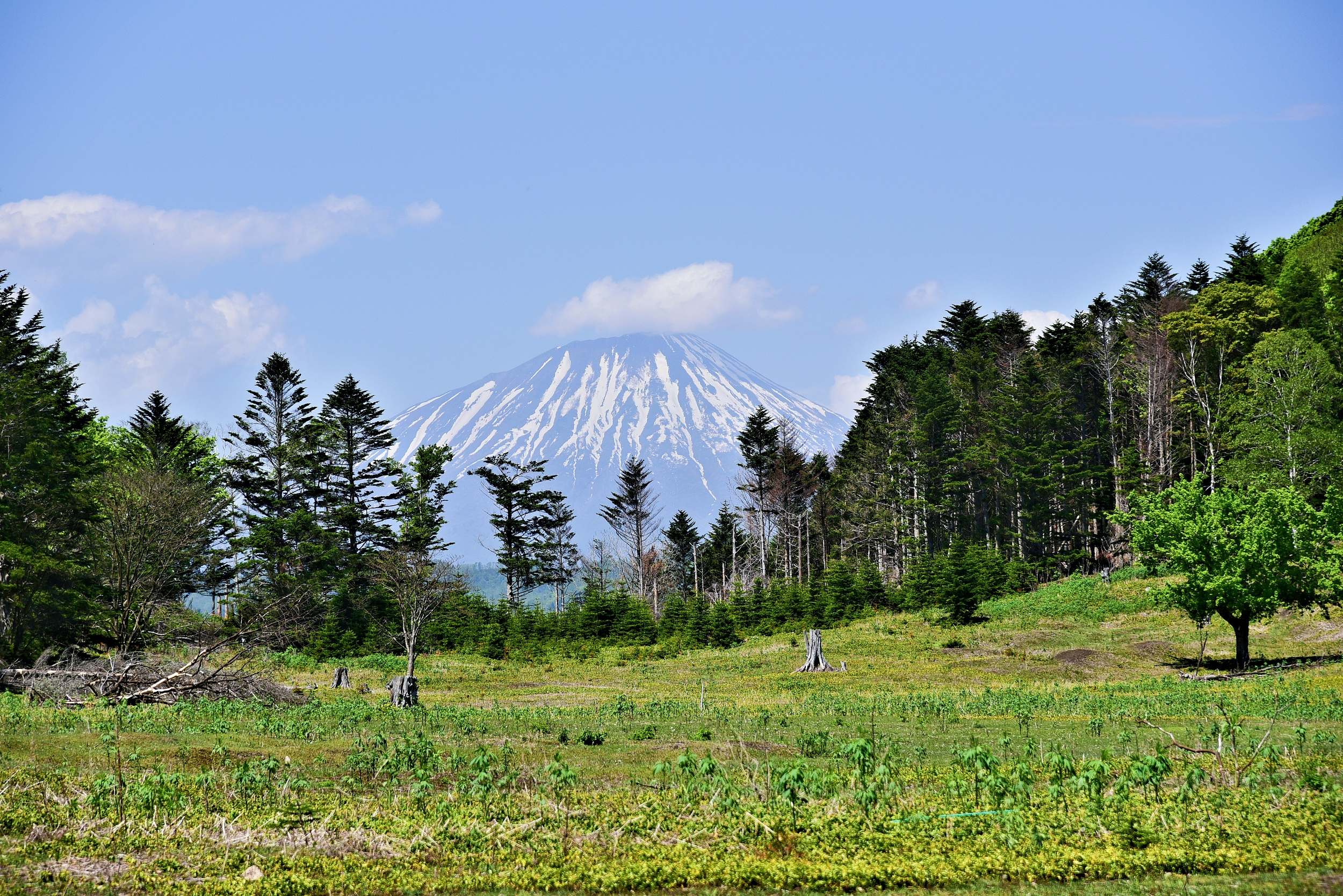 Shikotsu-Toya National Park cover image