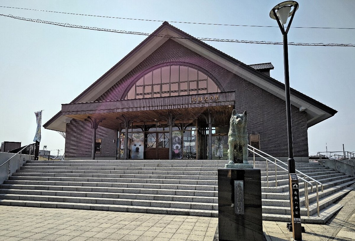 Akita Inu Fureaidokoro