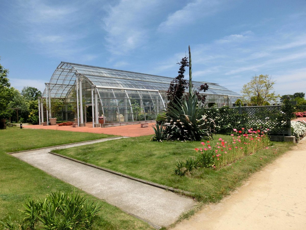 Bellfarm cover image