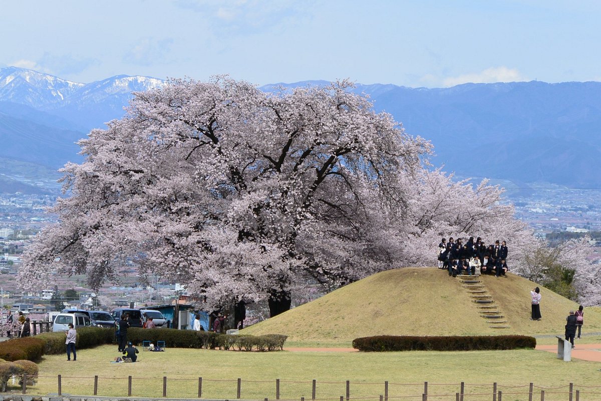 Yashiro Furusato Park cover image