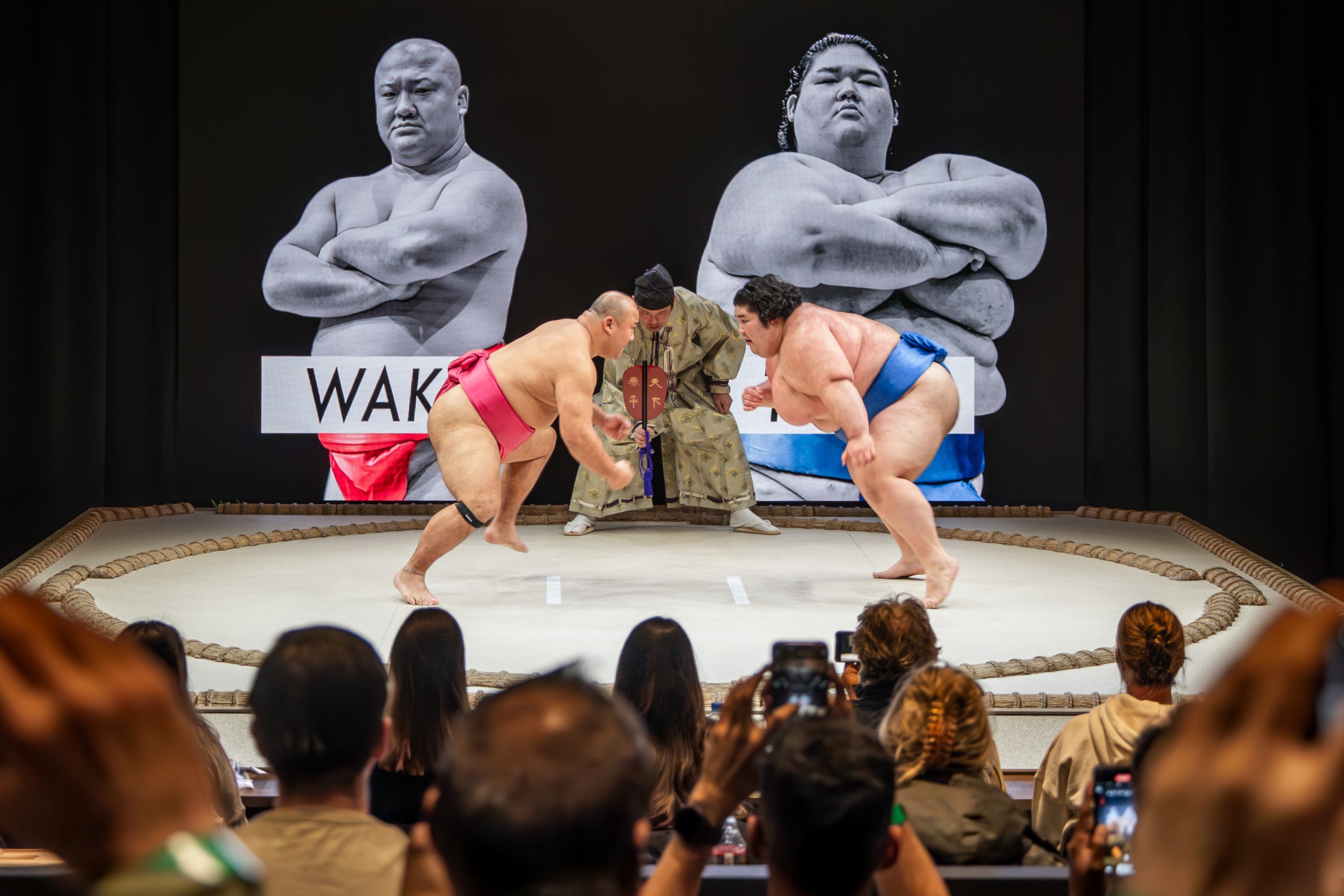 THE SUMO HALL HIRAKUZA OSAKA cover image