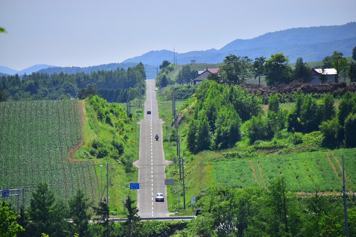 Roller Coaster Road cover image