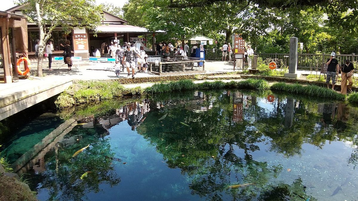 Waku Pond cover image