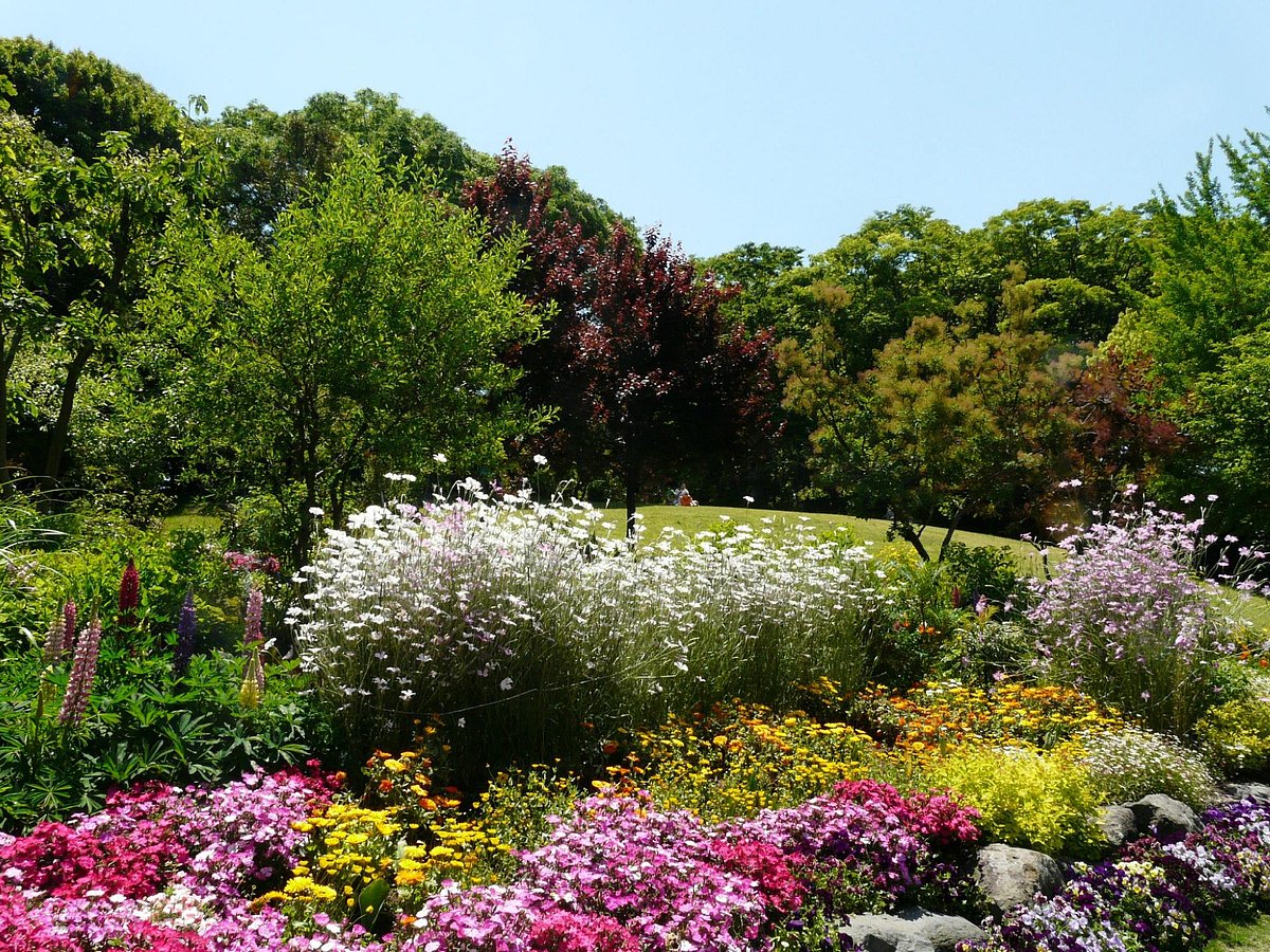 Ishibashi Bunka Center