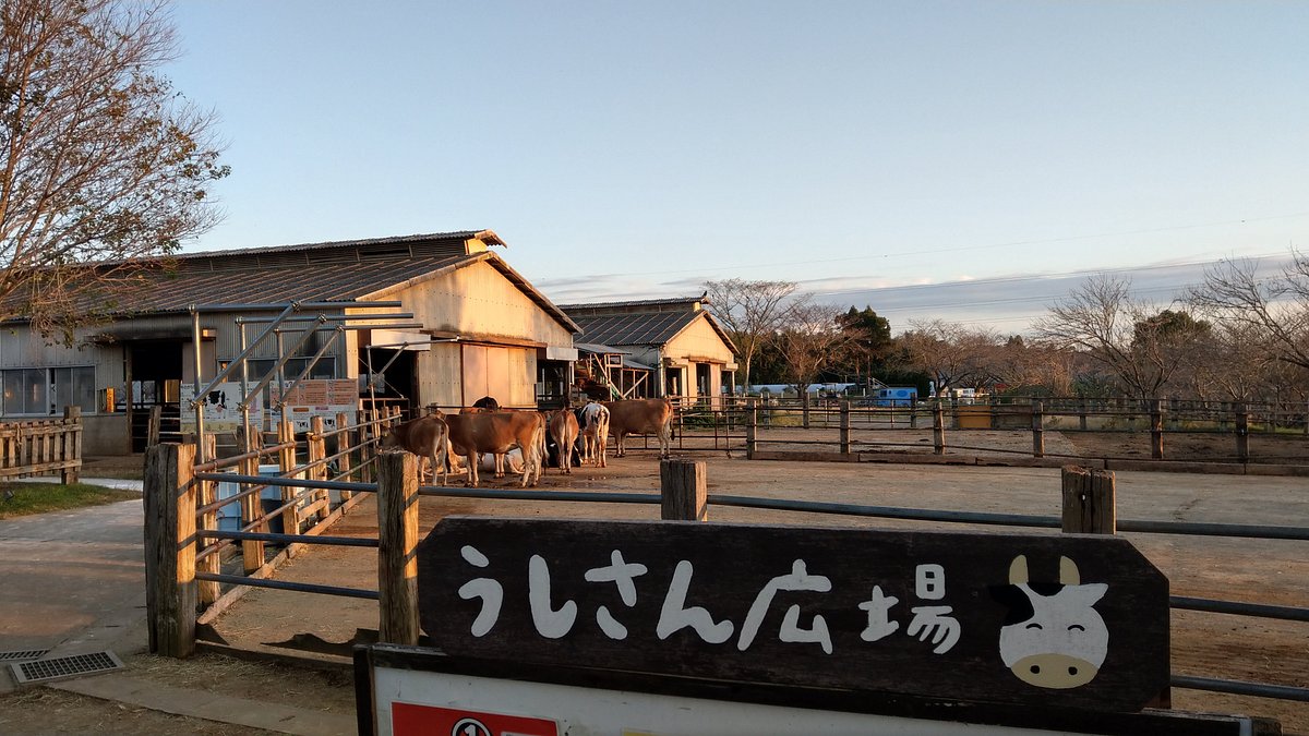 Mori no Makiba Auto Campsite cover image