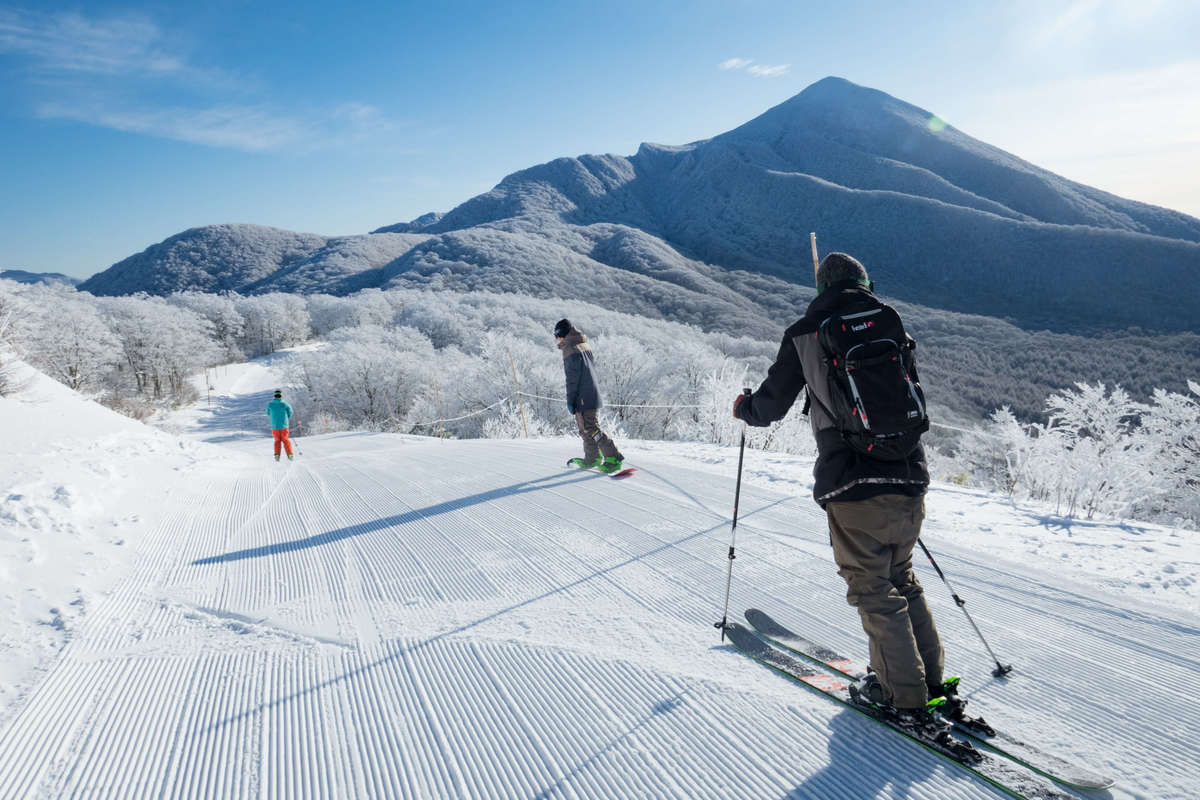 Hoshino Resorts Nekoma Mountain South Area cover image