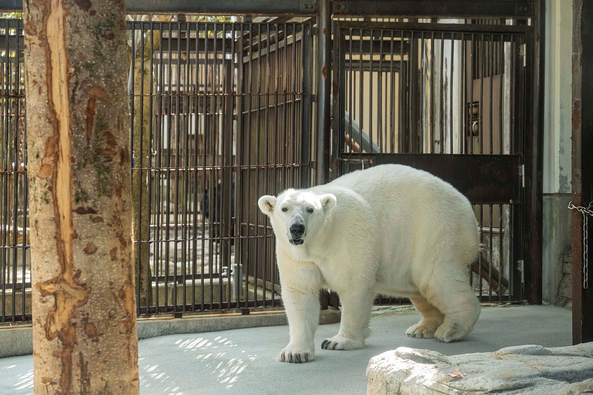 Tobe Zoological Park of Ehime Prefecture