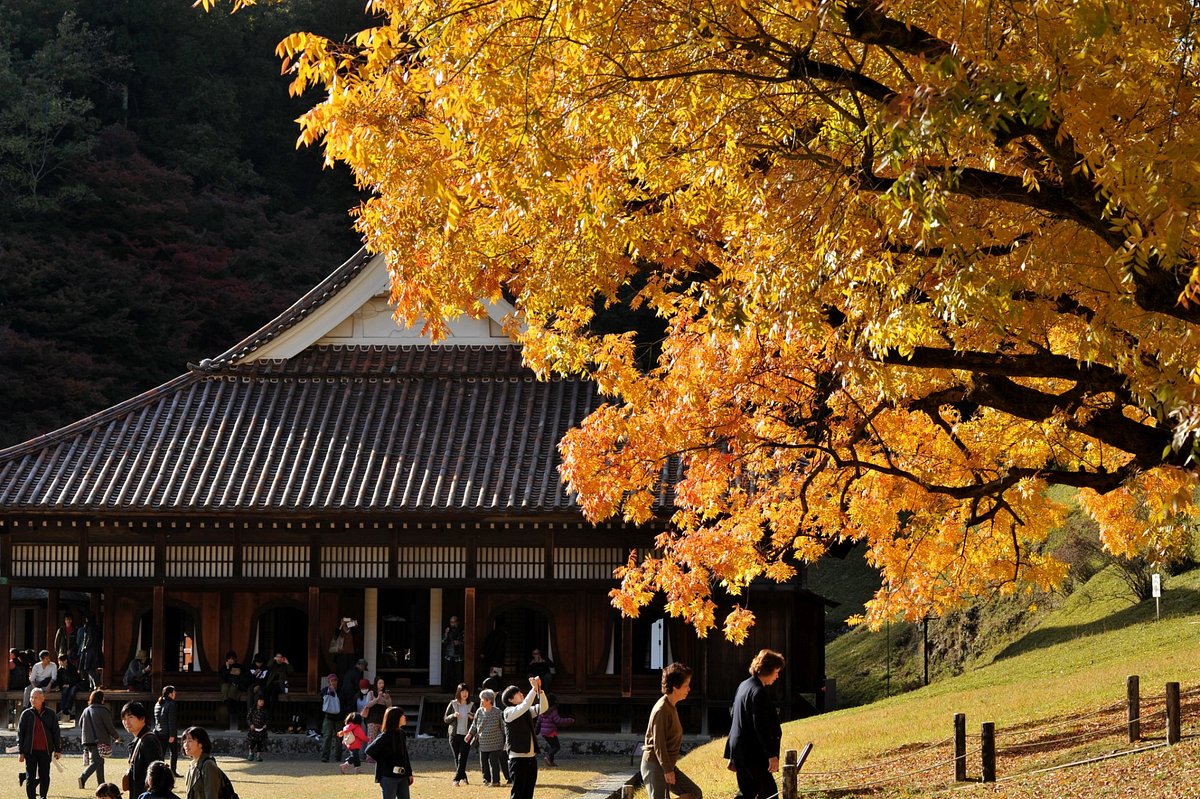 Old Shizutani School cover image