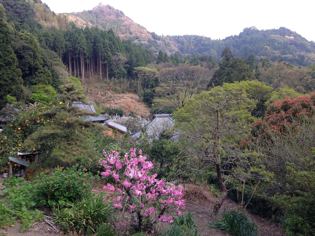 Hanazawa No Sato Community cover image