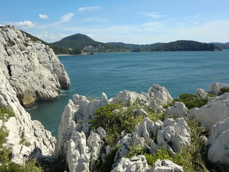 Shirasaki Ocean Park cover image