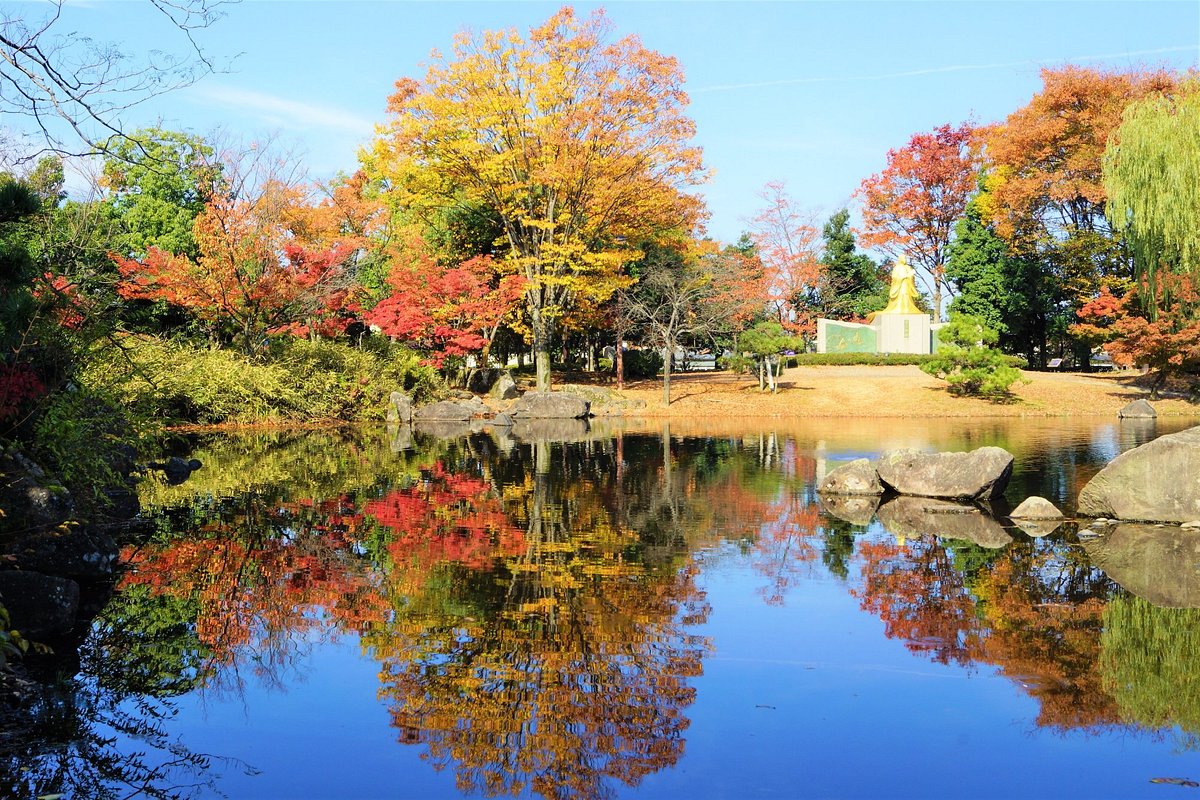 Murasakishikibu Park cover image