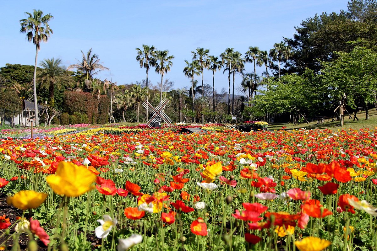 Flower Park Kagoshima