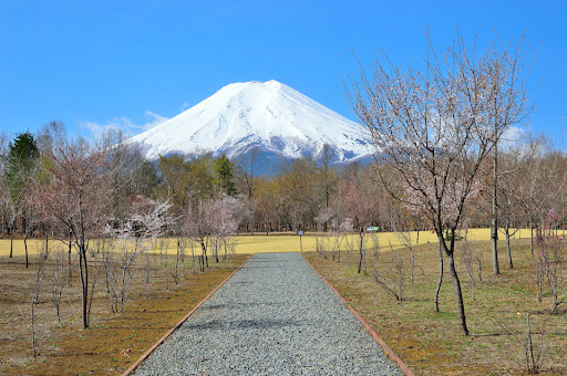 Fuji Walking Park cover image