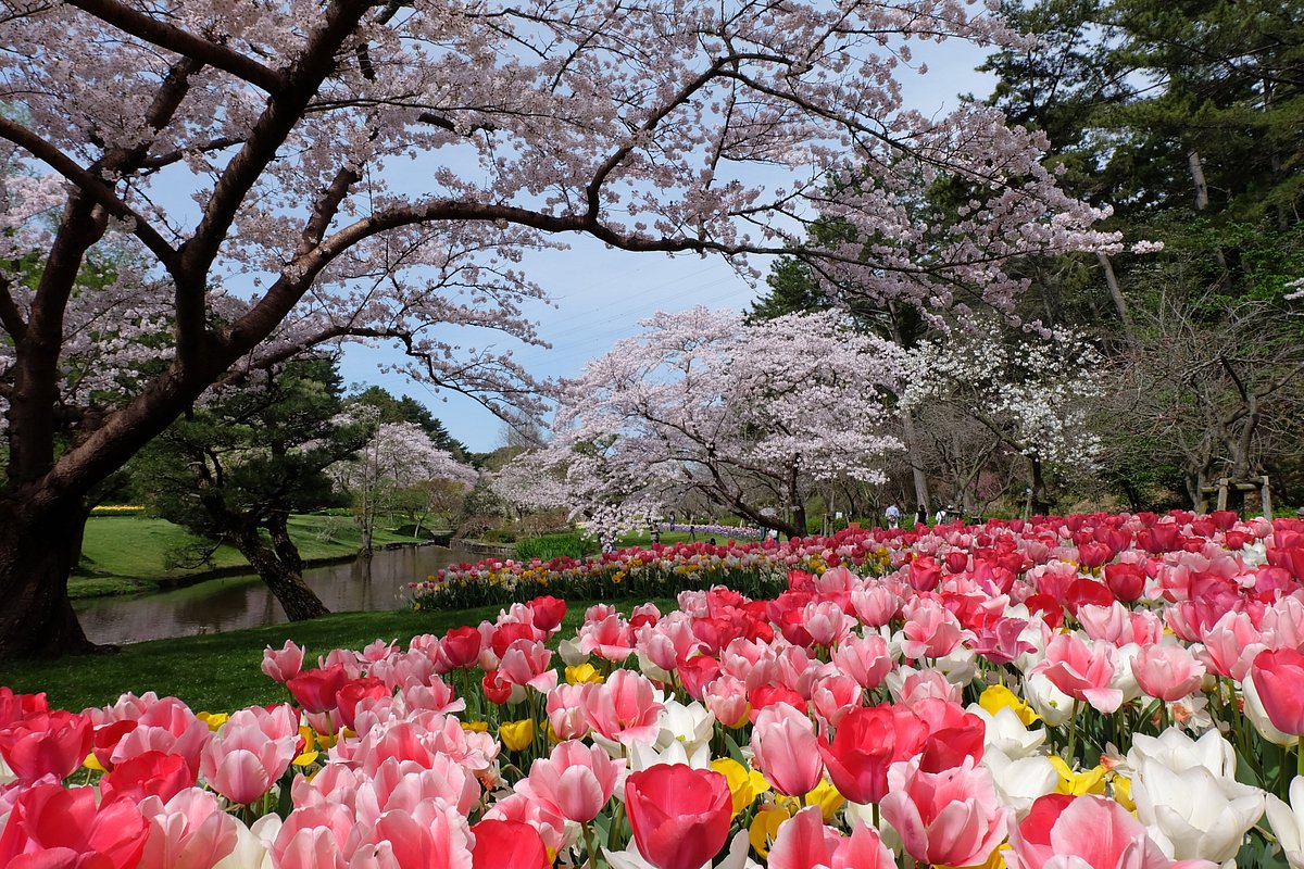 Hamamatsu Flower Park cover image