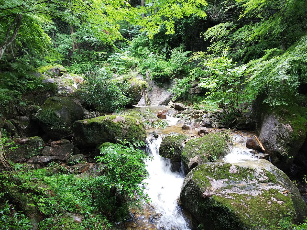 Oniiwa Park cover image