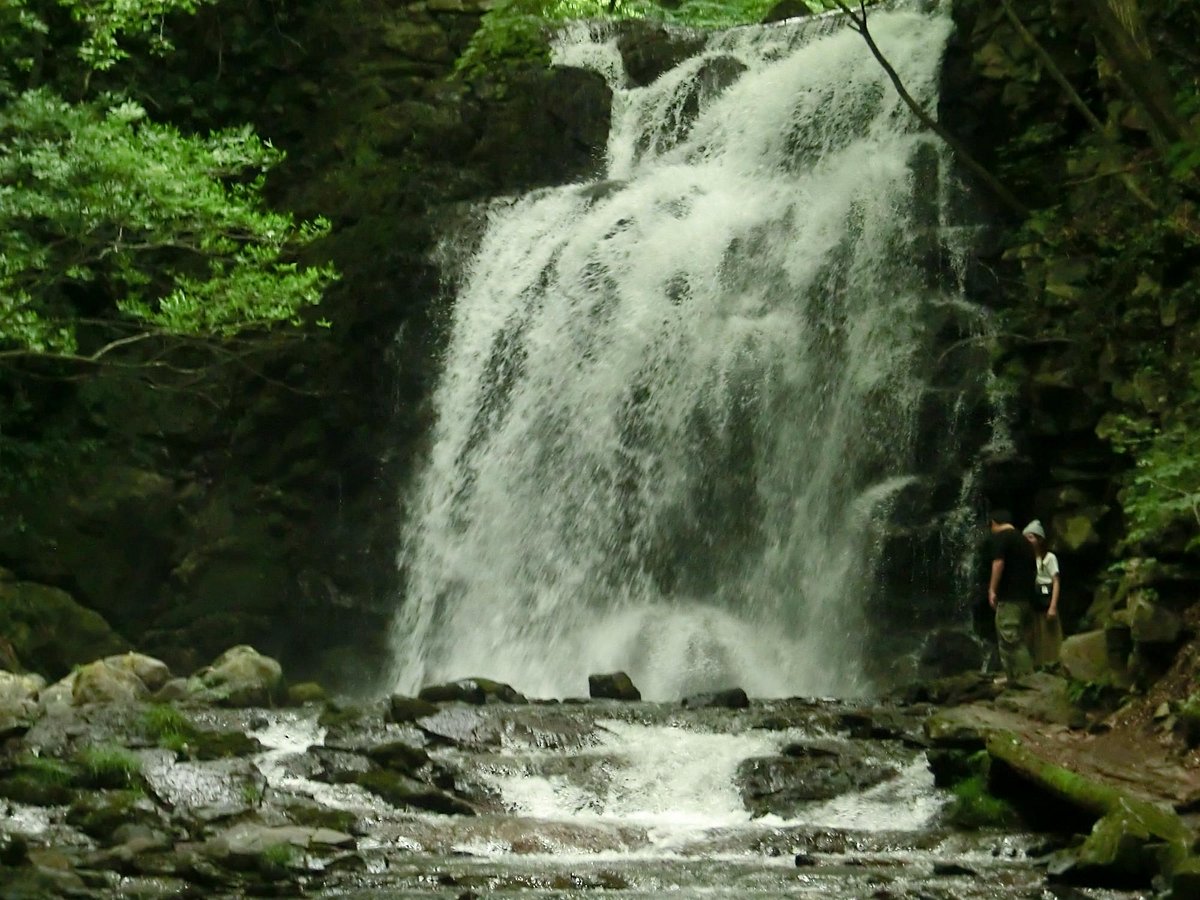 Asama Otaki Fall cover image