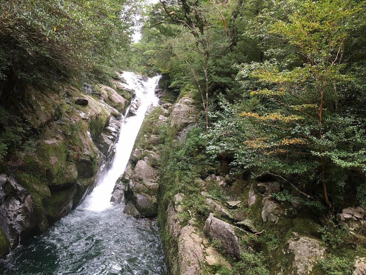 Shiratani Unsuikyo Valley cover image