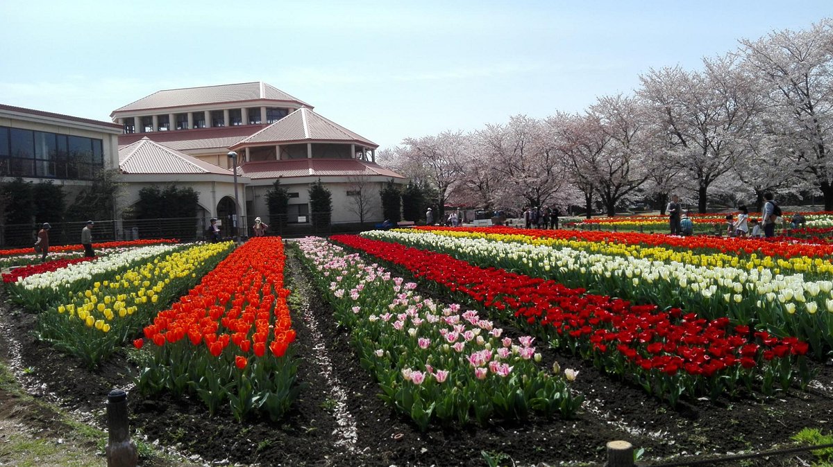 Aqua Paradise Patio cover image