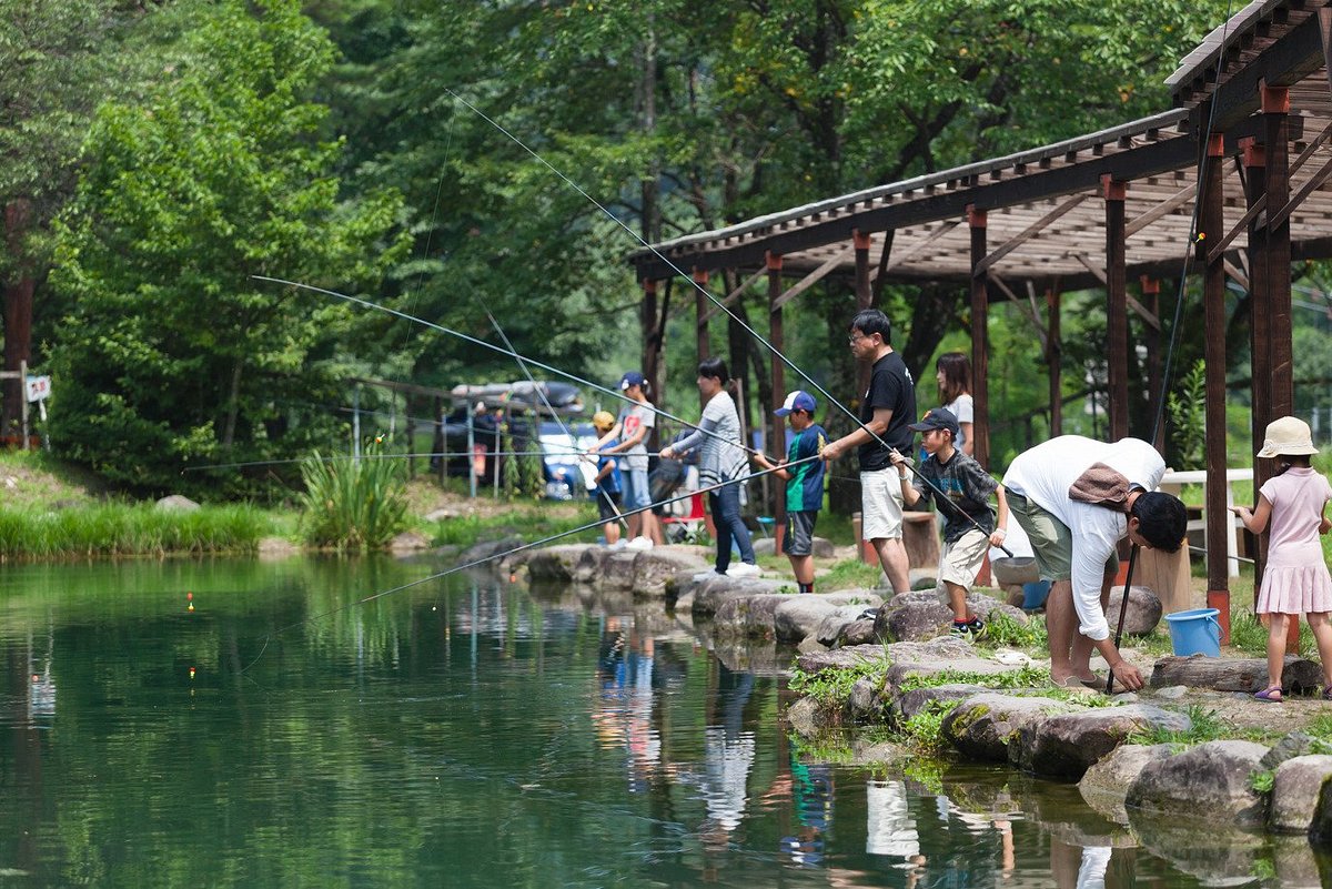 Hakuba Green Sports Forest cover image