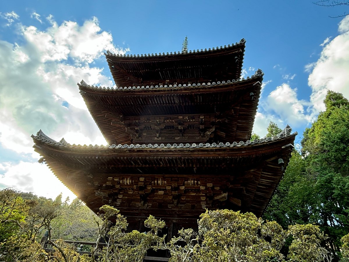 Mii-dera Temple cover image