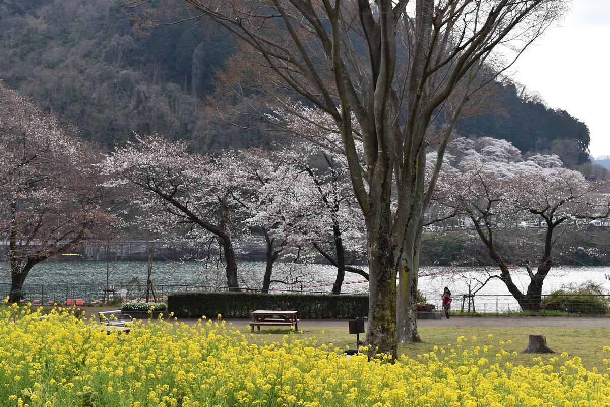 Kanagawa Prefectural Lake Tsukui Shiroyama Park, Water Garden, Flower Garden