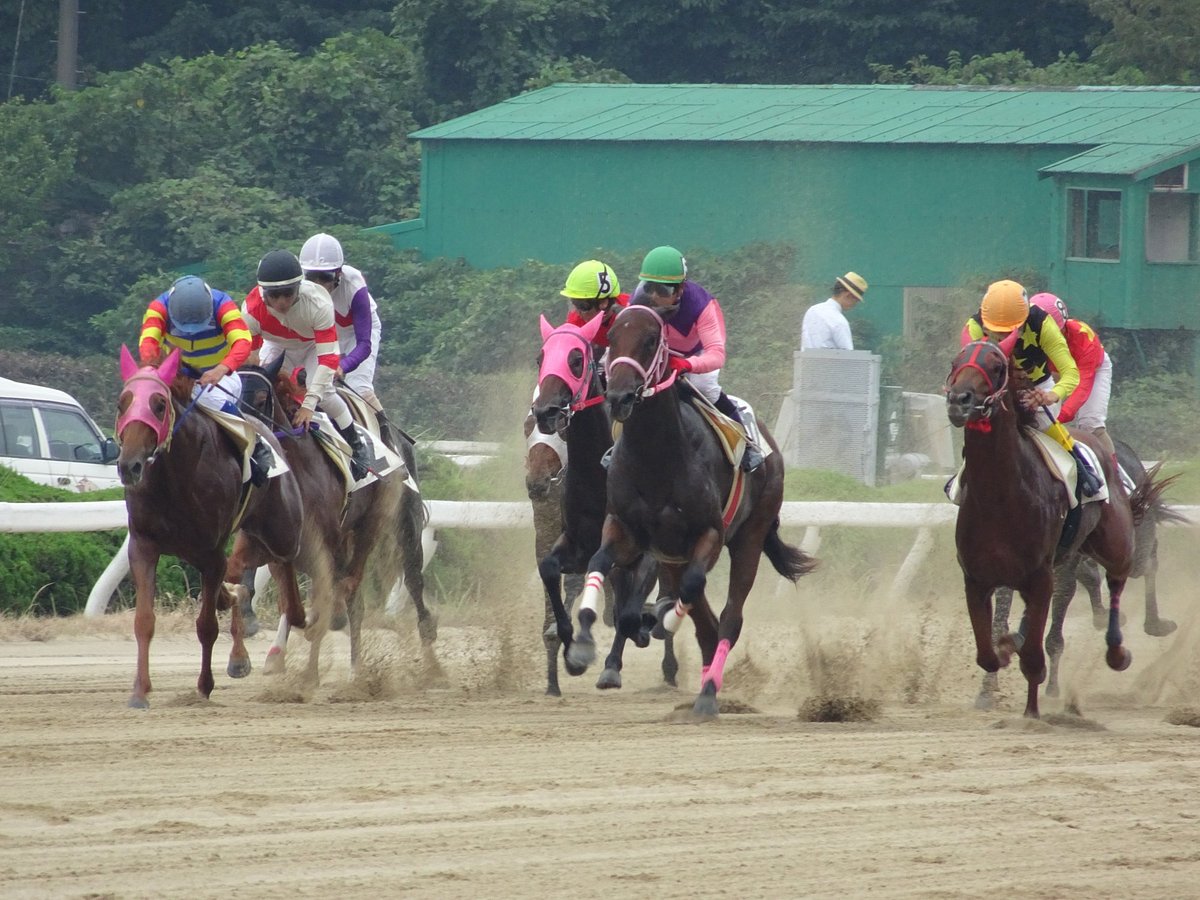 Saga Horse Racetrack cover image