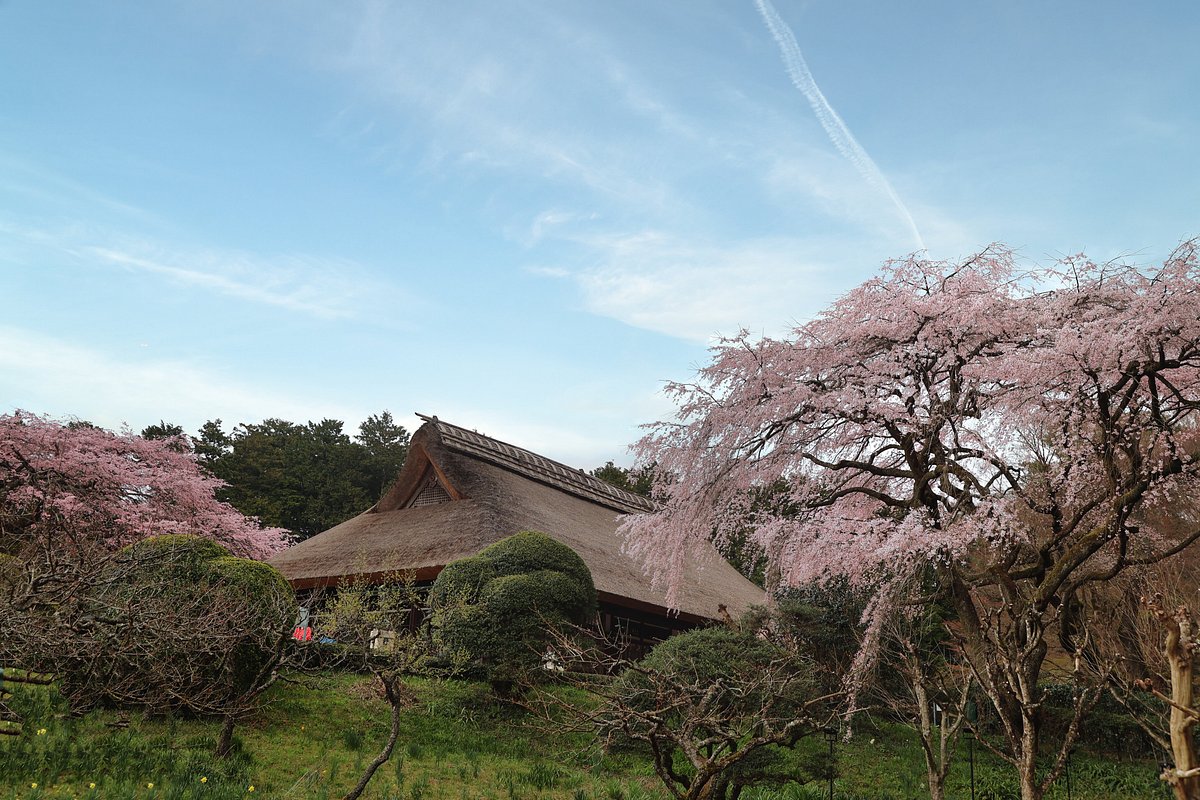 Chichibunomiya Memorial Park cover image