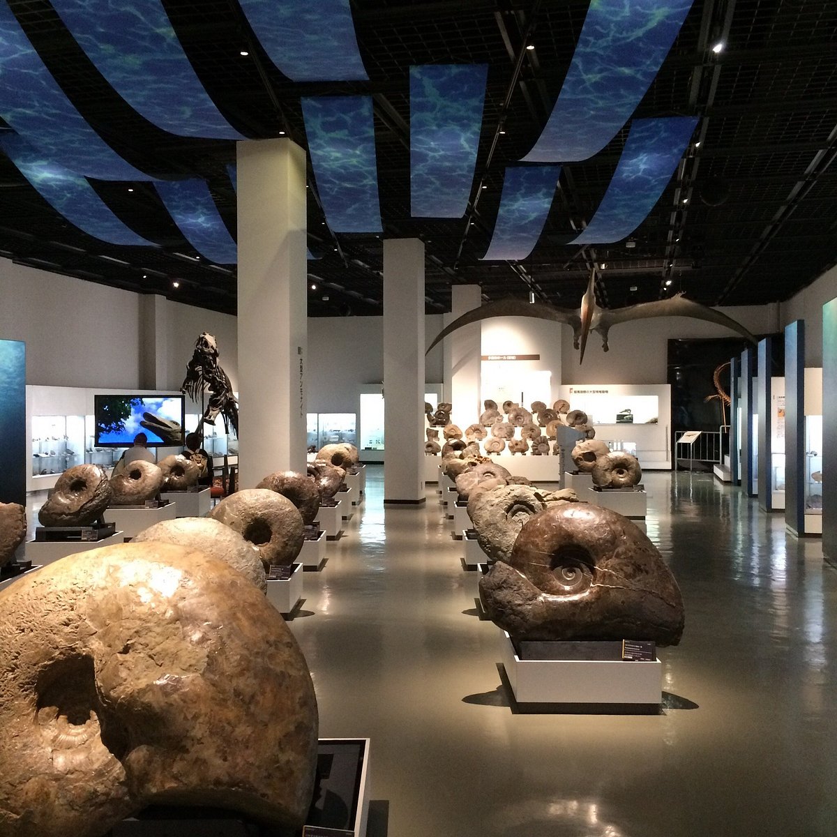 Mikasa City Museum cover image