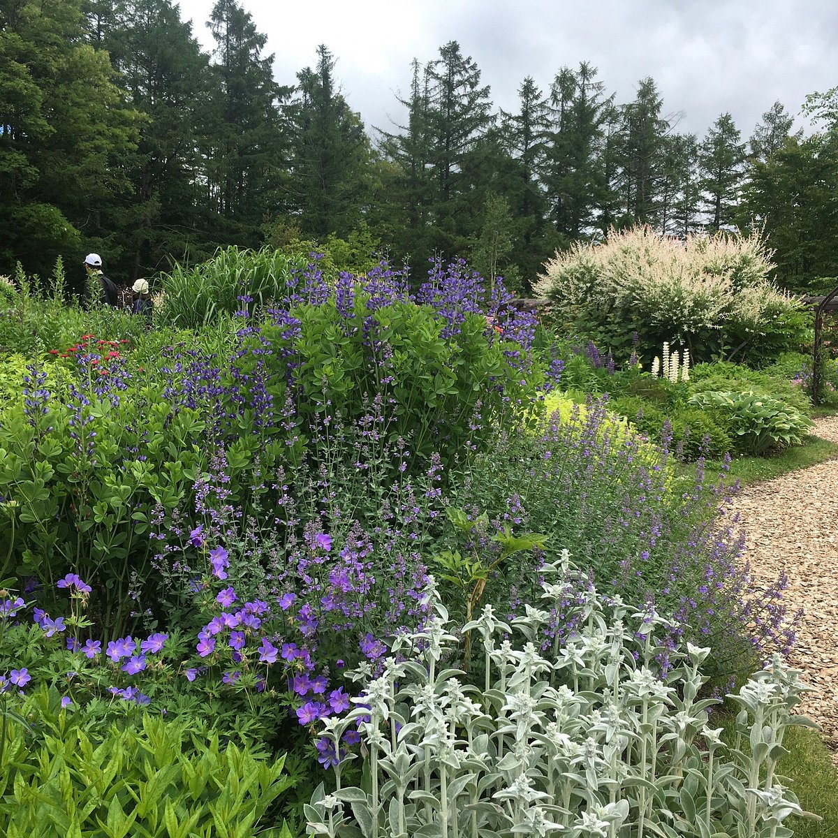 Garden of Wind cover image