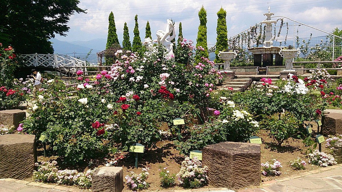 Herb Garden Tabinikki