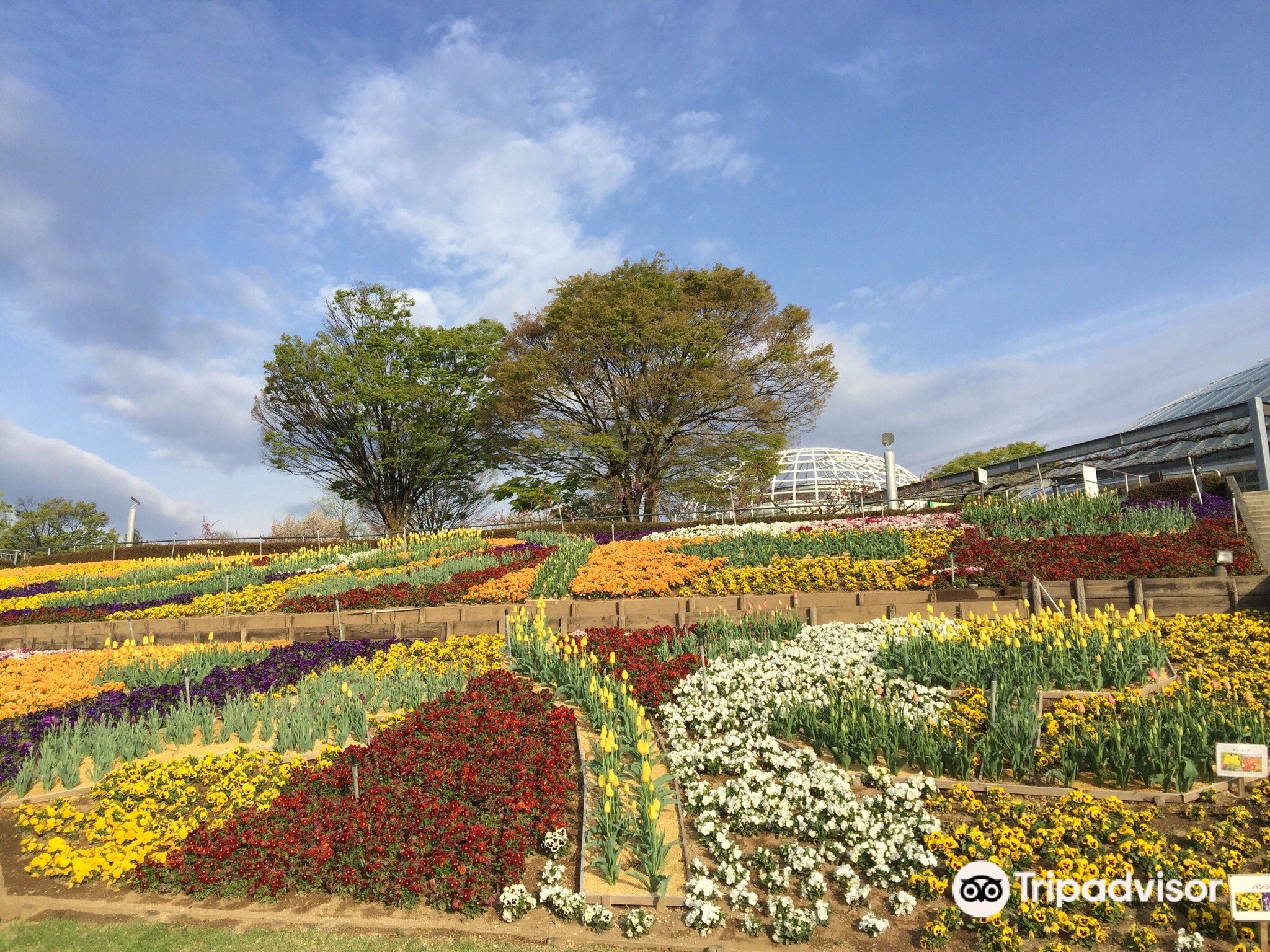 Yamanashi Fuehukigawa Fruit Park