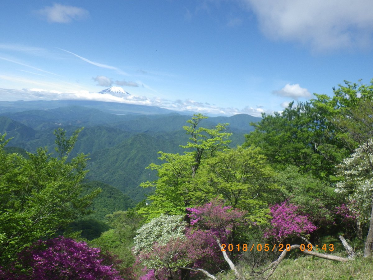 Mt. Aogatake (Hinokiboramaru) cover image