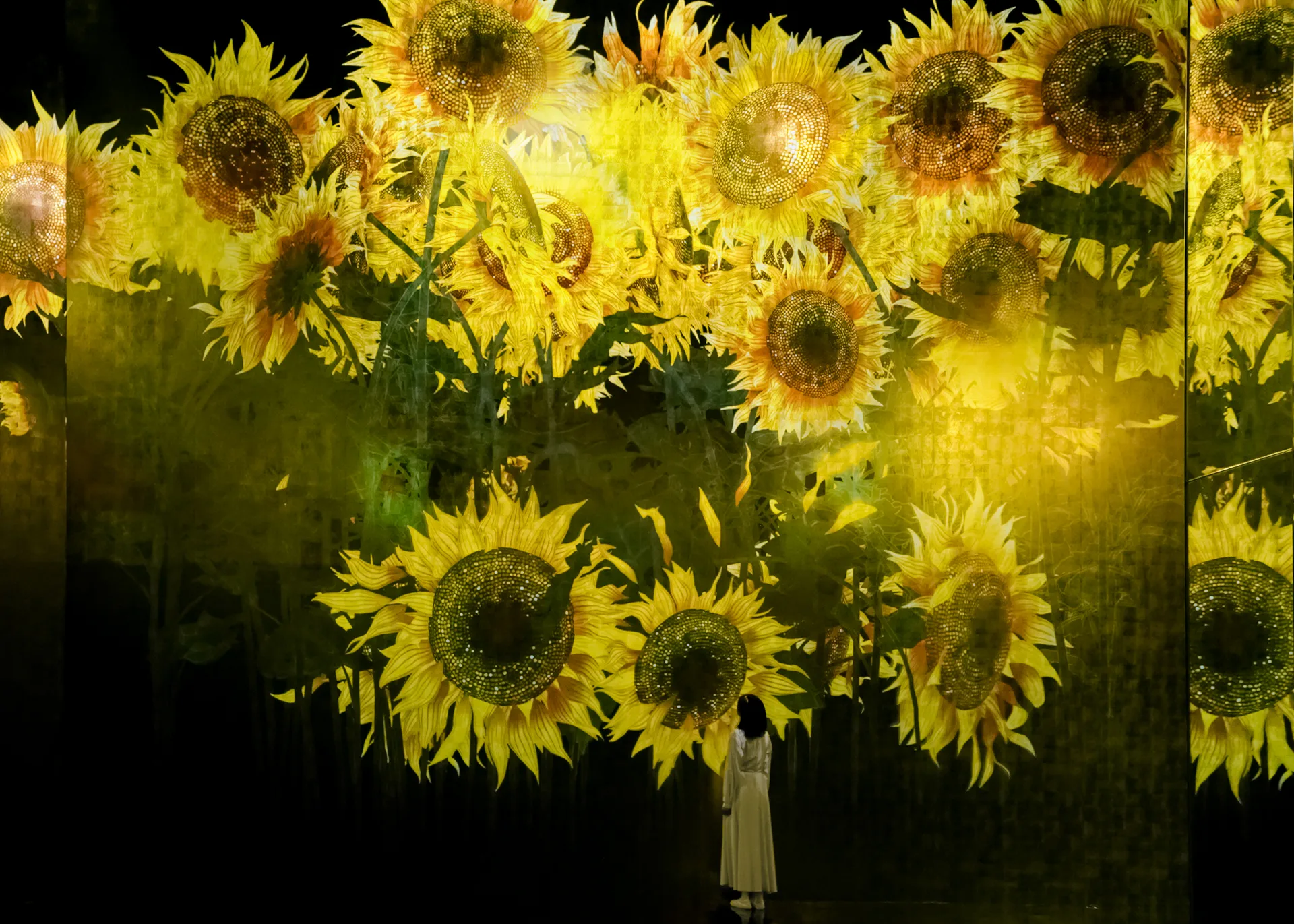 teamLab Biovortex Kyoto