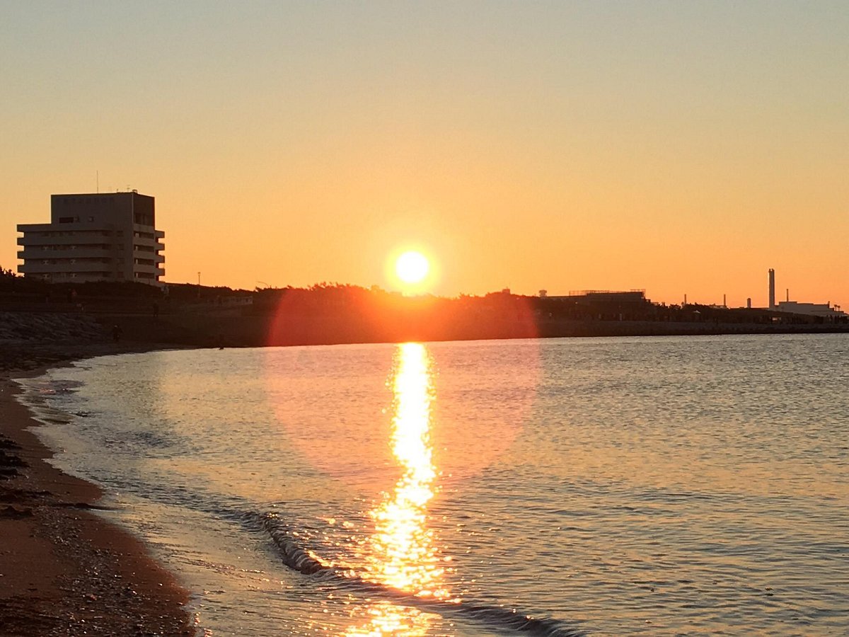 Inage Ocean Park cover image