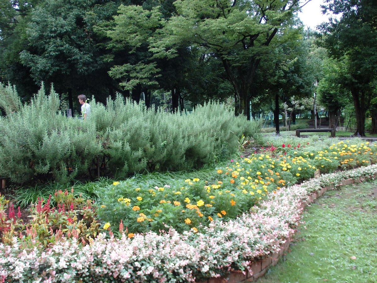 Aobadai Park