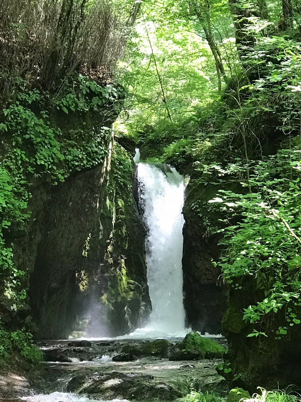 Ryugaeshi no Taki Waterfall cover image