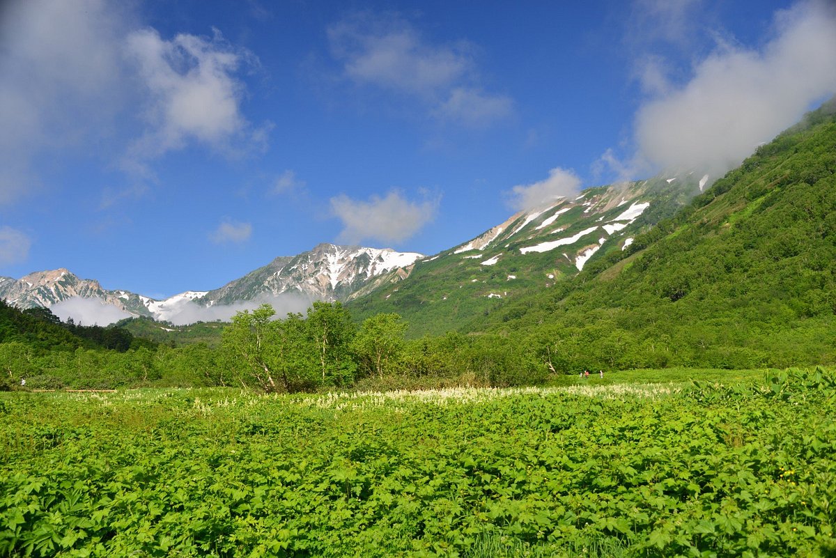 Tsugaike Natural Park