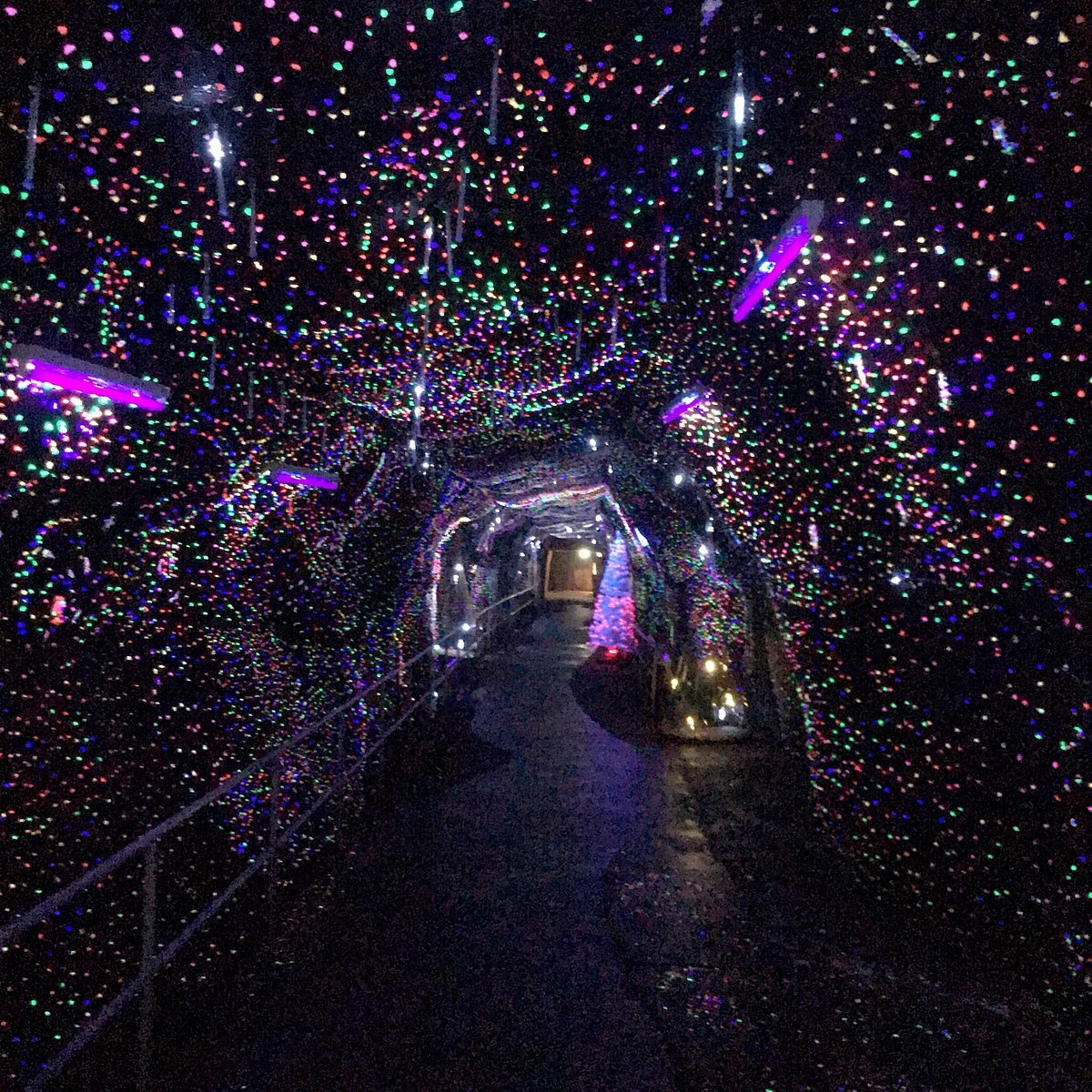 Mt. Taio Kinzan cover image